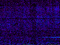 No data: 19-20 UT