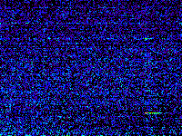 No data: 14-15 UT