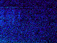 No data: 13-14 UT