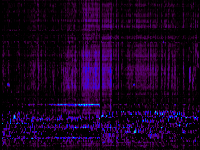 No data: 00-01 UT