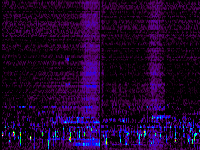 No data: 02-03 UT