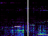 No data: 09-10 UT