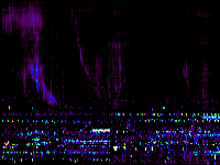 No data: 08-09 UT
