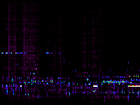No data: 02-03 UT