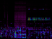 No data: 05-06 UT