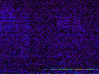 No data: 16-17 UT