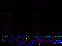 No data: 05-06 UT