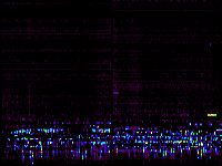 No data: 03-04 UT