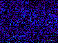 No data: 16-17 UT