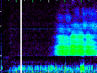 No data: 12-13 UT