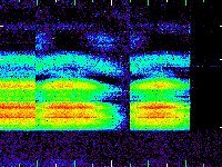 No data: 20-21 UT