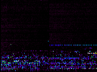 No data: 23-00 UT