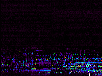 No data: 03-04 UT