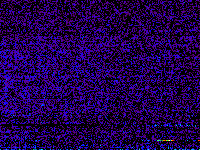 No data: 15-16 UT