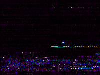 No data: 02-03 UT