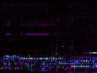 No data: 02-03 UT