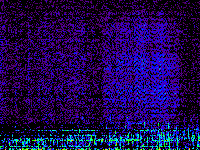 No data: 12-13 UT