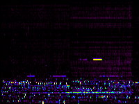No data: 05-06 UT