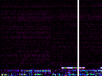 No data: 19-20 UT