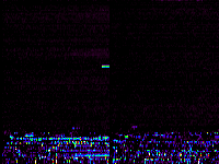 No data: 06-07 UT