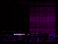 No data: 00-01 UT