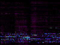 No data: 02-03 UT