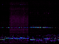 No data: 23-00 UT