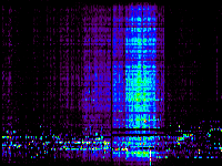 No data: 02-03 UT