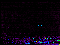 No data: 06-07 UT