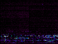 No data: 02-03 UT