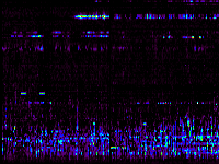 No data: 03-04 UT