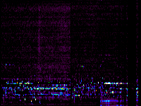 No data: 02-03 UT