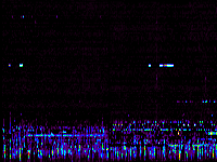 No data: 03-04 UT