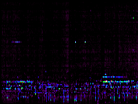 No data: 02-03 UT