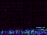 No data: 02-03 UT