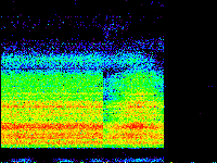 No data: 21-22 UT