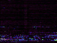 No data: 23-00 UT