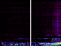 No data: 19-20 UT