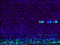 No data: 12-13 UT