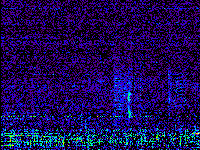 No data: 14-15 UT