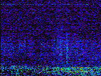 No data: 20-21 UT