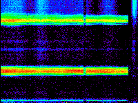 No data: 13-14 UT