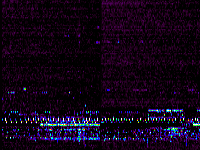 No data: 02-03 UT