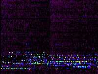 No data: 02-03 UT