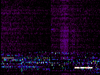 No data: 03-04 UT