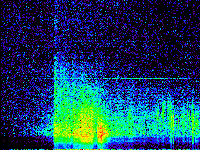 No data: 14-15 UT