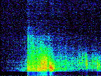 No data: 14-15 UT