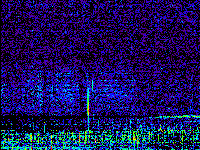 No data: 13-14 UT