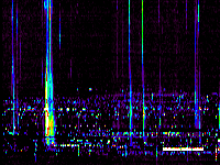No data: 03-04 UT