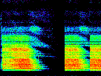 No data: 12-13 UT